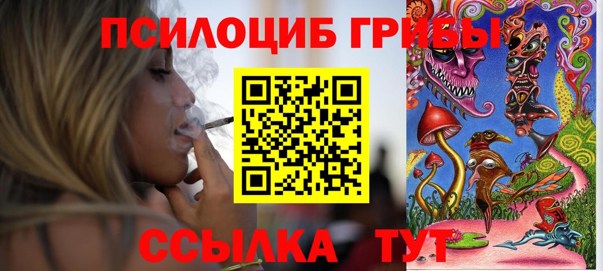 Галлюциногенные грибы MAGIC MUSHROOMS  Вход с VPN  Россия 